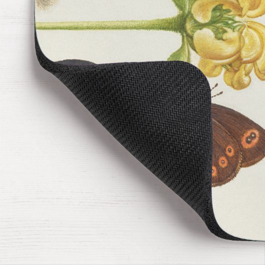 Motten, Jeruzalem salie en bonen kalligrafie Muismat (Hoek)