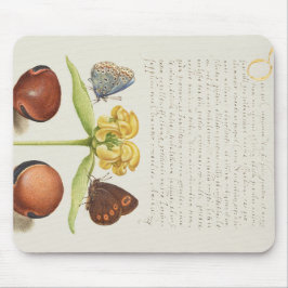 Motten, Jeruzalem salie en bonen kalligrafie Muismat