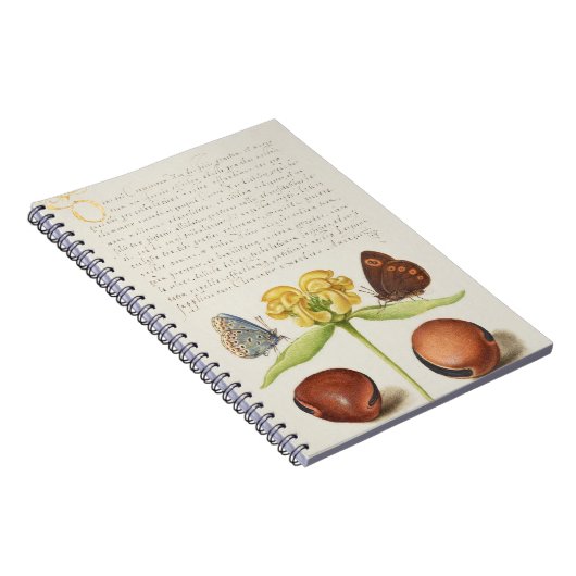 Motten, Jeruzalem salie en bonen kalligrafie Notitieboek (Rechterzijde)