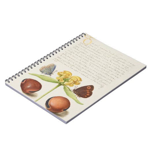 Motten, Jeruzalem salie en bonen kalligrafie Notitieboek (Linkerzijde)