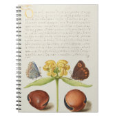 Motten, Jeruzalem salie en bonen kalligrafie Notitieboek (Voorkant)