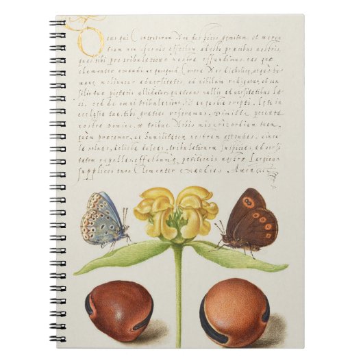 Motten, Jeruzalem salie en bonen kalligrafie Notitieboek (Voorkant)