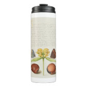 Motten, Jeruzalem salie en bonen kalligrafie Thermosbeker (Voorkant)