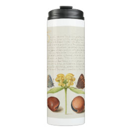 Motten, Jeruzalem salie en bonen kalligrafie Thermosbeker