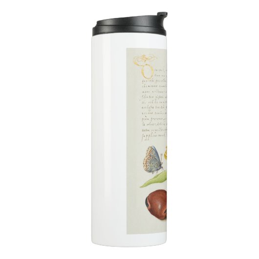 Motten, Jeruzalem salie en bonen kalligrafie Thermosbeker (Gedraaid links)