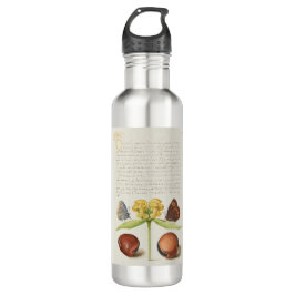 Motten, Jeruzalem salie en bonen kalligrafie Waterfles