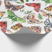 Motten waterverf cadeaupapier (Hoek)