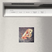 mottenmagneet magneet (Insitu (Vaatwasser))