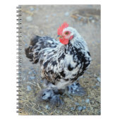 Mottled Bantam Cochin Chicken Notitieboek Journal (Voorkant)