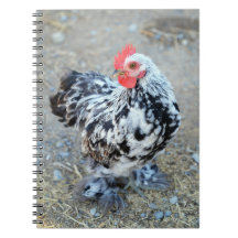Mottled Bantam Cochin Chicken Notitieboek Journal