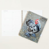 Mottled Bantam Cochin Chicken Notitieboek Journal (Display)