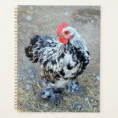 Mottled Bantam Cochin Chicken Notitieboek Journal (Voorkant)