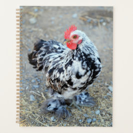 Mottled Bantam Cochin Chicken Notitieboek Journal