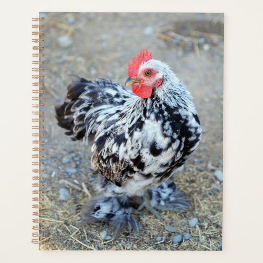 Mottled Bantam Cochin Chicken Notitieboek Journal (Voorkant)