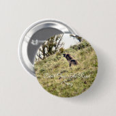 Mottled, Don't Cross the Road Song bijvoorbeeld Ronde Button 5,7 Cm (Voorkant /achterkant)