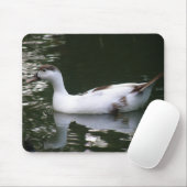 Mottled Duck Mousepad Muismat (Met muis)