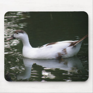 Mottled Duck Mousepad Muismat