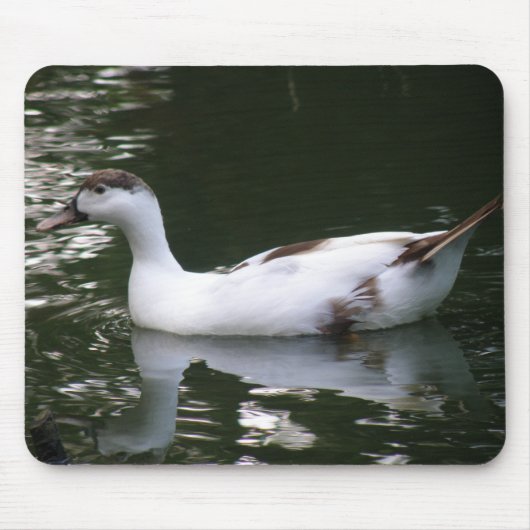 Mottled Duck Mousepad Muismat (Voorkant)