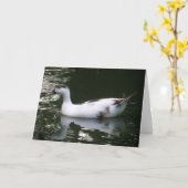Mottled Duck Wenskaart Kaart (Gele Bloem)