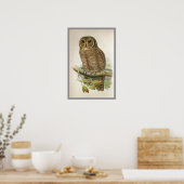 Mottled Wood Owl Poster (Keuken)