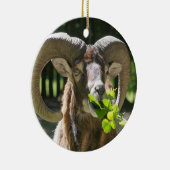 Mouflon Ram Keramisch Ornament (Rechts)