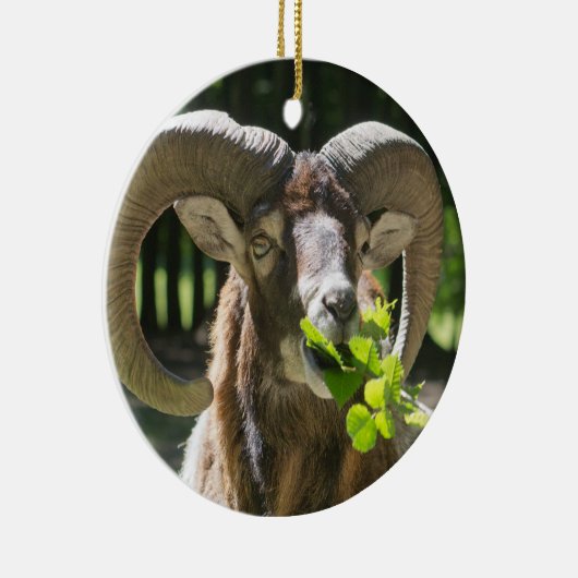 Mouflon Ram Keramisch Ornament (Rechts)
