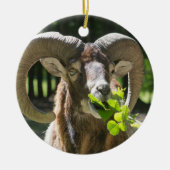 Mouflon Ram Keramisch Ornament (Voorkant)