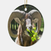 Mouflon Ram Keramisch Ornament (Links)