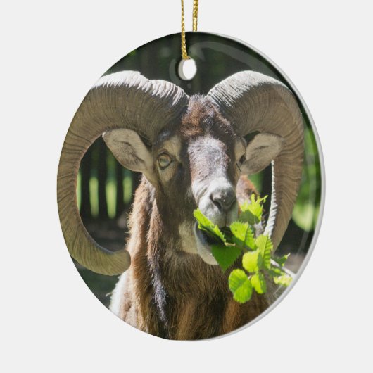 Mouflon Ram Keramisch Ornament (Links)