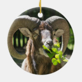 Mouflon Ram Keramisch Ornament (Achterkant)