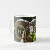 Mouflon Ram Koffiemok (Voorkant links)
