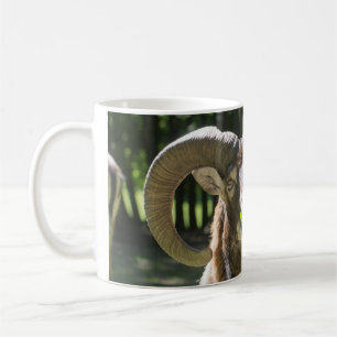 Mouflon Ram Koffiemok
