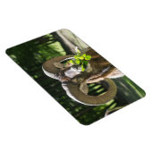 Mouflon Ram Magneet (Rechterzijde)