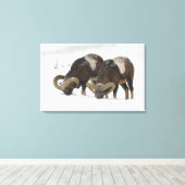 Mouflons in Winter, Duitsland Canvas Afdruk (Insitu (Houten vloer))