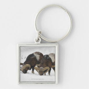 Mouflons in Winter, Duitsland Sleutelhanger