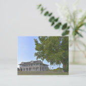 Mound House en Strangler Fig, Florida Briefkaart (Staand voorkant)