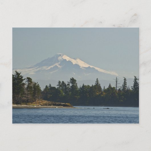 Mount Baker domineert landschap Briefkaart (Voorkant)