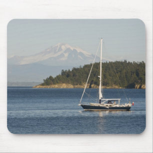 Mount Baker domineert landschap Muismat