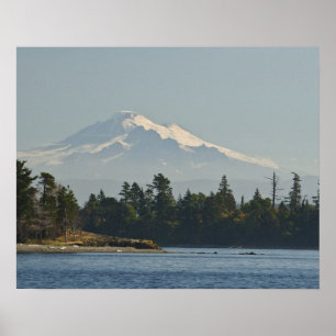 Mount Baker domineert landschap Poster