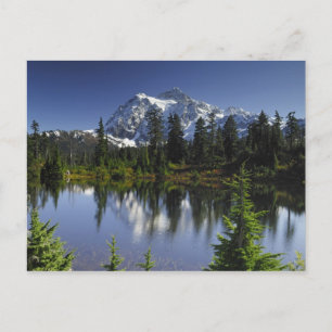 Mount Baker-Snoqualmie Nationaal Bos Briefkaart