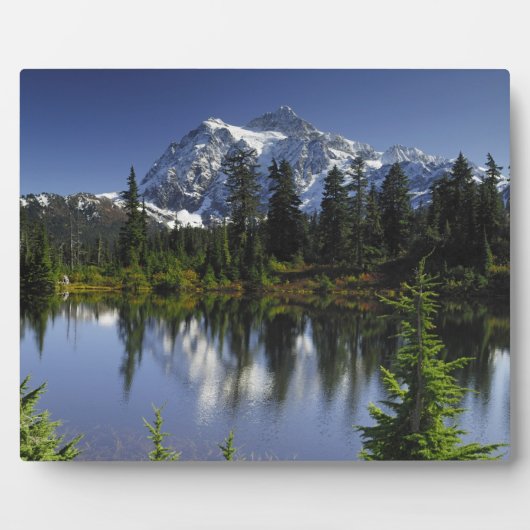 Mount Baker-Snoqualmie Nationaal Bos Fotoplaat (Voorkant)