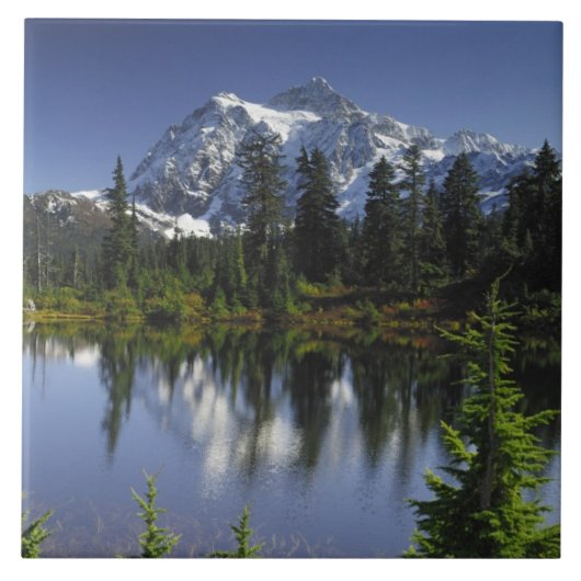Mount Baker-Snoqualmie Nationaal Bos Tegeltje (Voorkant)