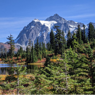 Mount Baker, Washington Herfst Kleur Poster