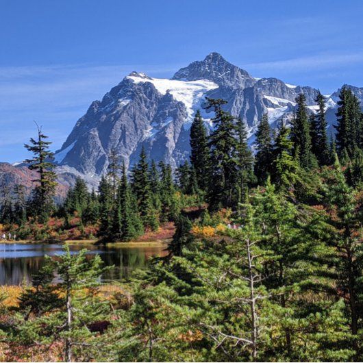 Mount Baker, Washington Herfst Kleur Poster