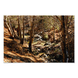 Mount Baldy Foto Afdruk