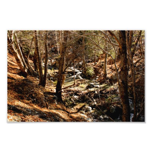 Mount Baldy Foto Afdruk (Voorkant)