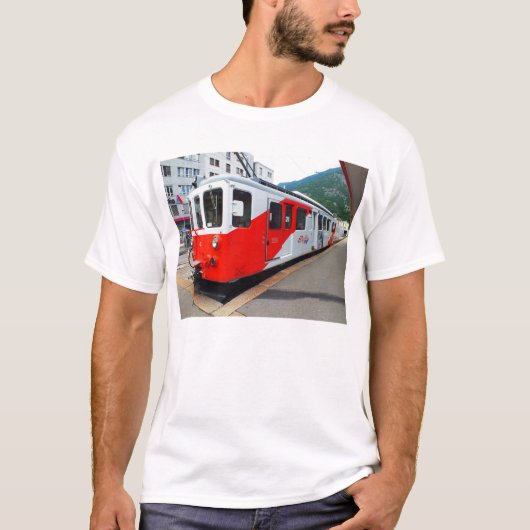 Mount Blanc T-shirt (Voorkant)
