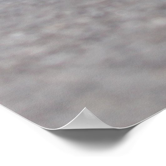 Mount Charleston Kyle Canyon Nevada Poster (Hoek)