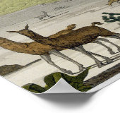 Mount Chimborazo, Ecuador, uit Le Costume Ancien Poster (Hoek)