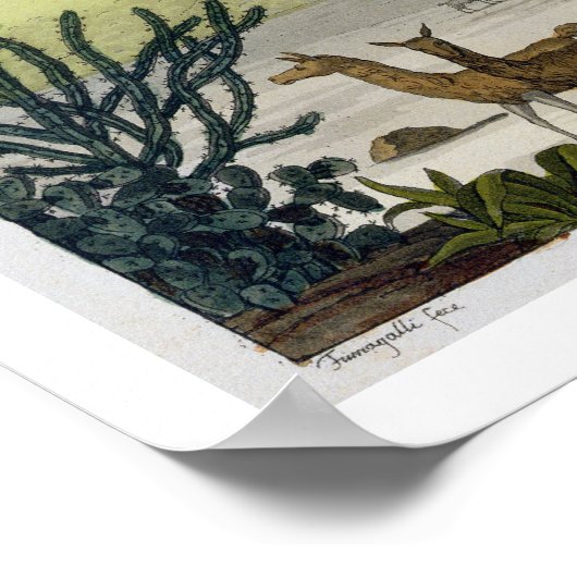 Mount Chimborazo, Ecuador, uit Le Costume Ancien Poster (Hoek)